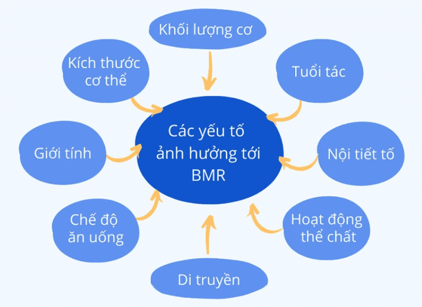 tính bmr của nữ