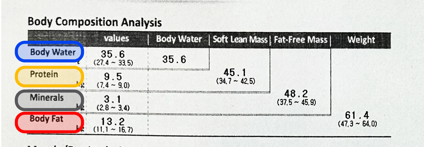 pbf-la-gi (1)