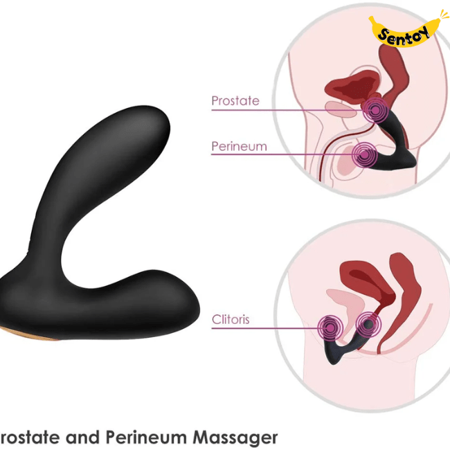 Svakom Vick Massage hậu môn 2 động cơ rung điều khiển từ xa (3)