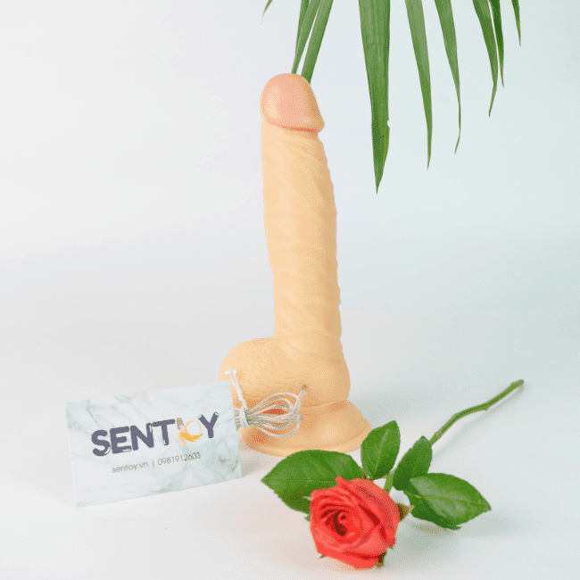 sex-toy-nu (2)