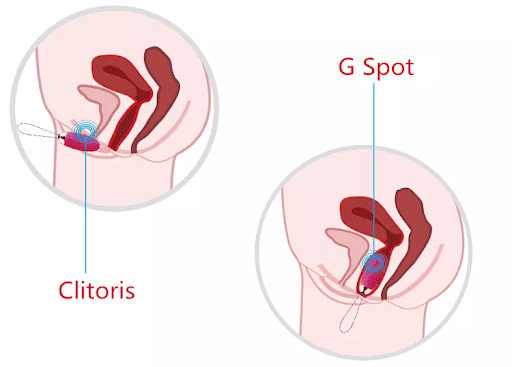 kích thích hột le