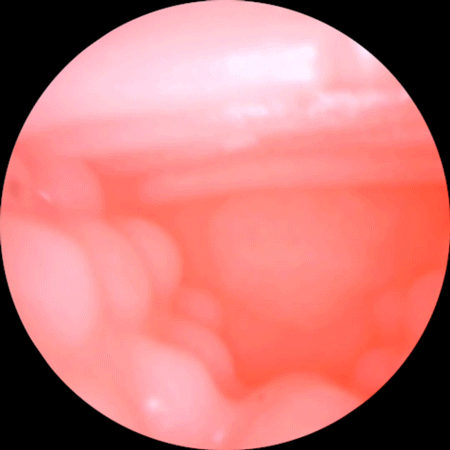 ManMiao Lovely Catwoman kiểu dáng mèo (1)