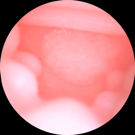 ManMiao Lovely Catwoman kiểu dáng mèo (2)