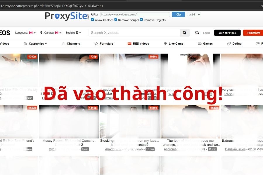 web-proxy-2