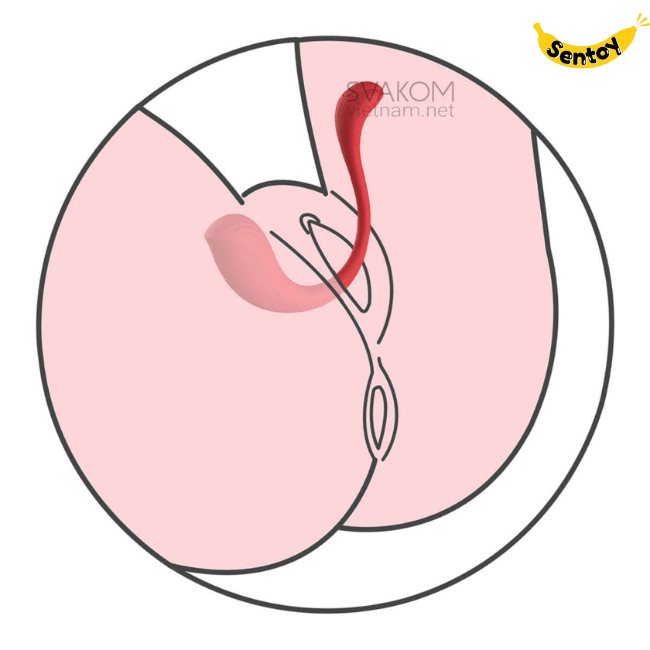 Svakom PHOENIX NEO siêu phẩm điều khiển qua app (8)