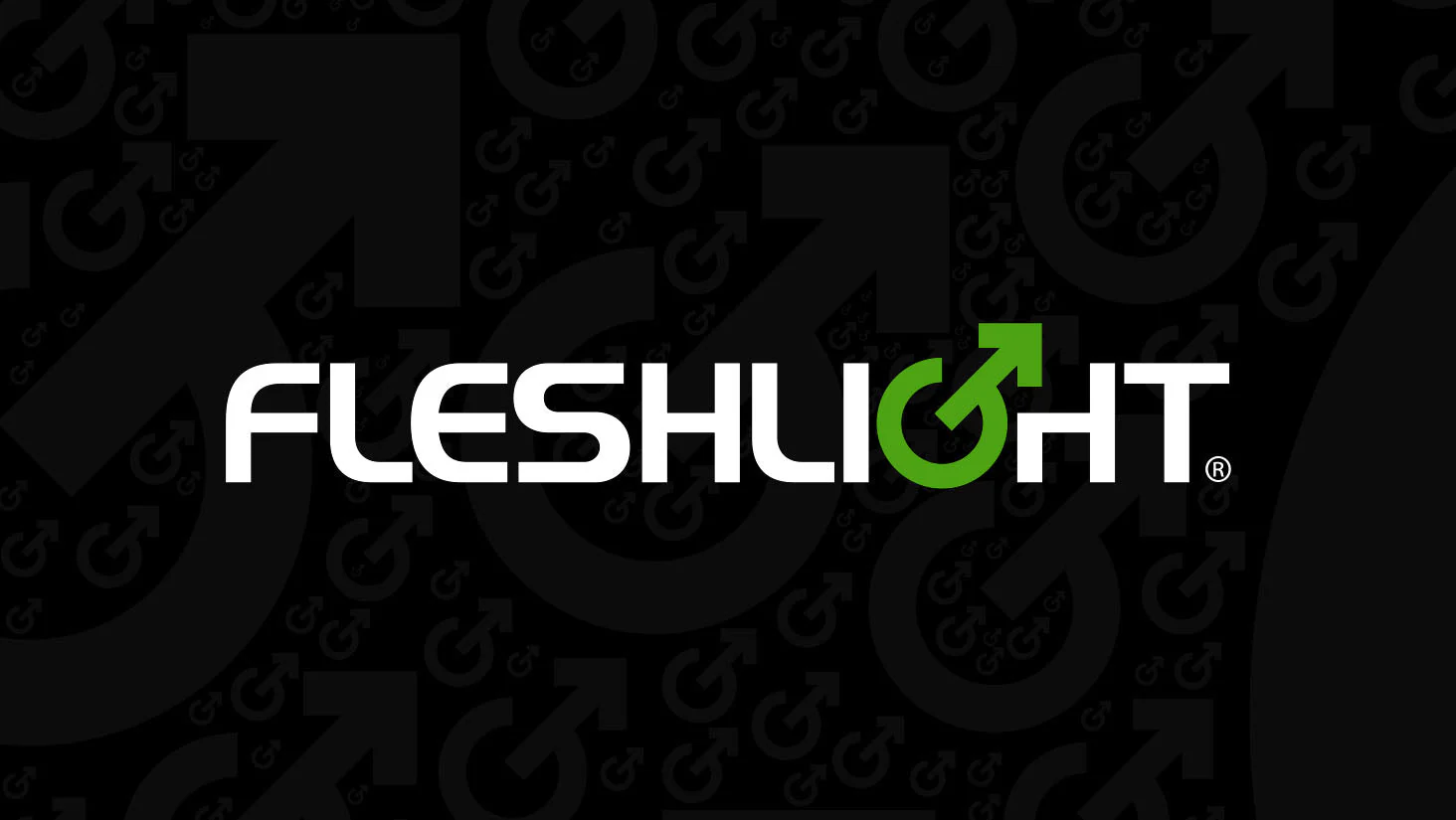 FleshLight