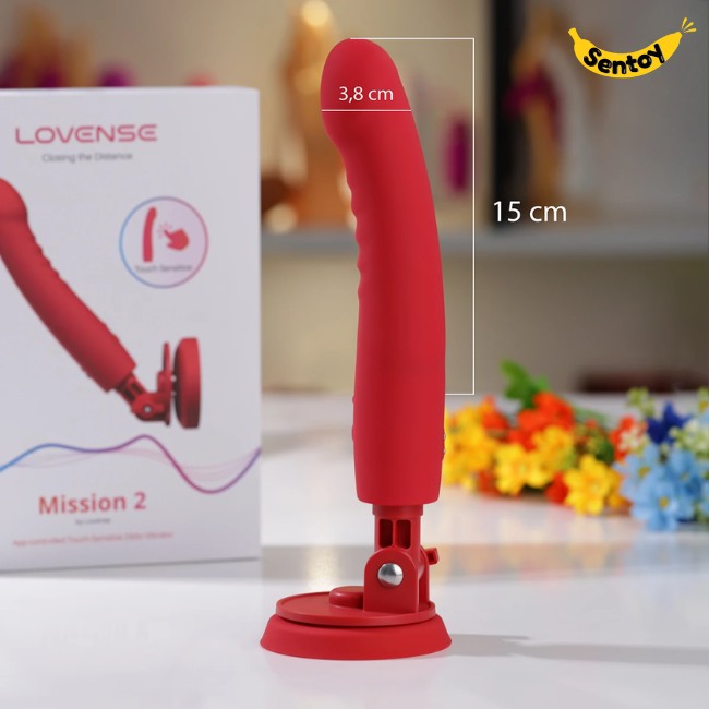 duong-vat-gia-lovense-mission-2 (10)