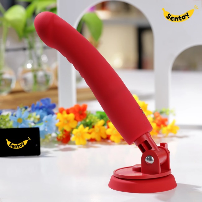 duong-vat-gia-lovense-mission-2 (2)