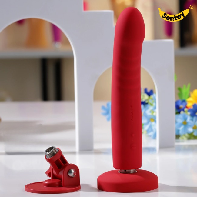 duong-vat-gia-lovense-mission-2-23