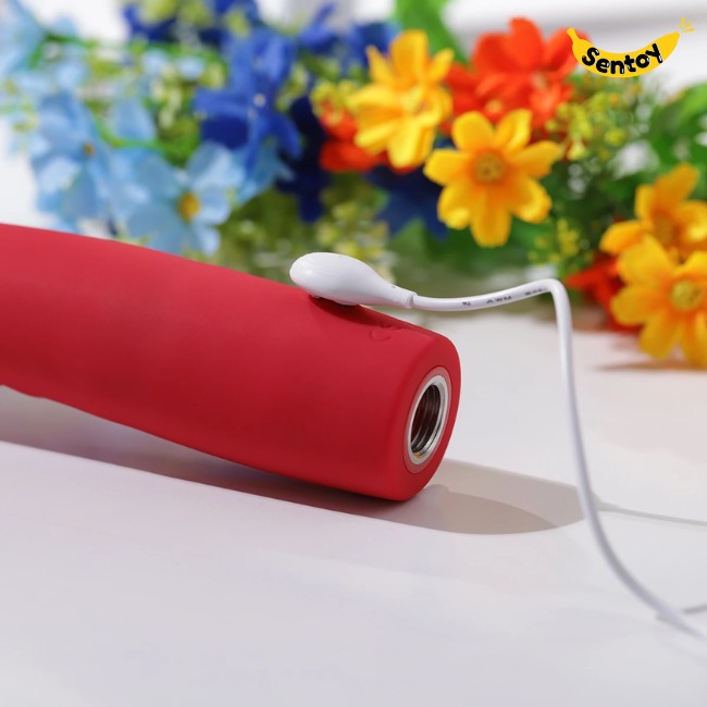 duong-vat-gia-lovense-mission-2 (6)